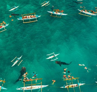 Untitled (1024 x 1024 px) (483 x 460 px) (13)