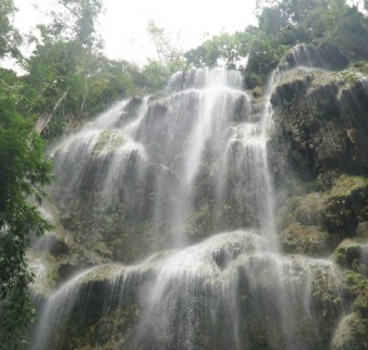 Untitled (1024 x 1024 px) (483 x 460 px) (14)