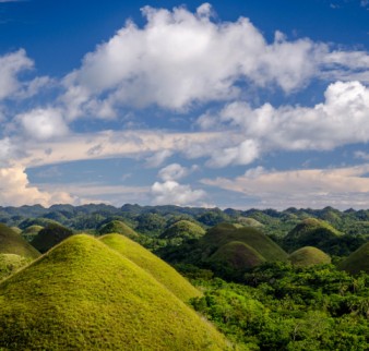 Untitled (1024 x 1024 px) (483 x 460 px) (18)