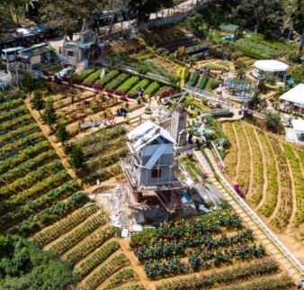 Untitled (1024 x 1024 px) (483 x 460 px) (3)